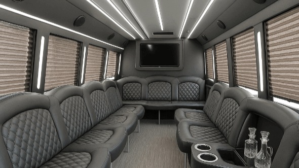 28 passenger party bus interior