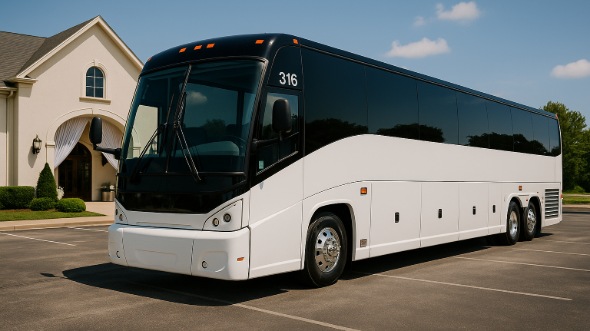 aurora birthday sweet 16 party bus rentals